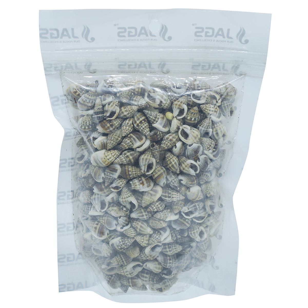 Decorative Seashells For Craft Pack Of 100 Grams | 0.6x1.5x0.5 Cm