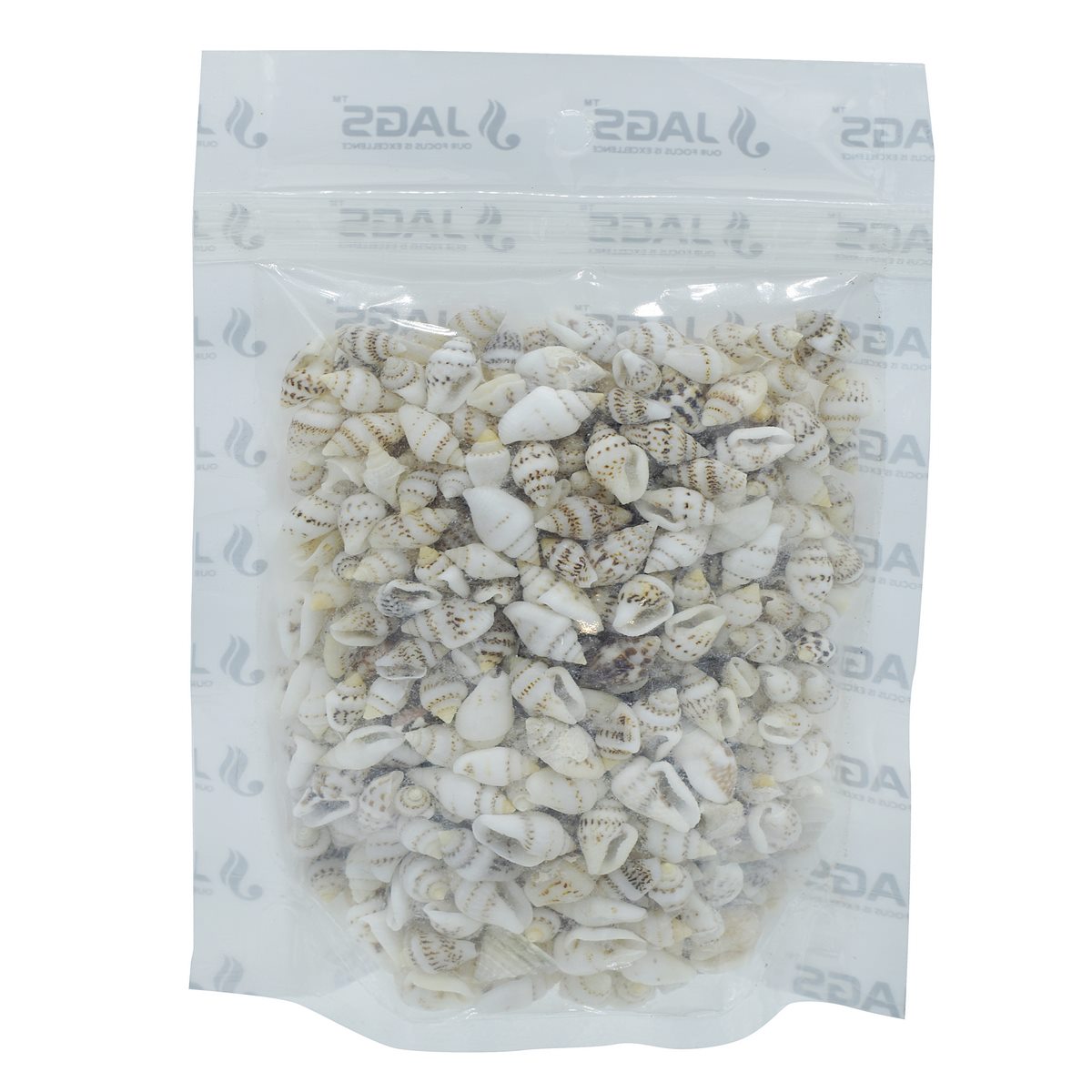 Decorative Seashells For Craft Pack Of 100 Grams | 0.6x1.5x0.5 Cm