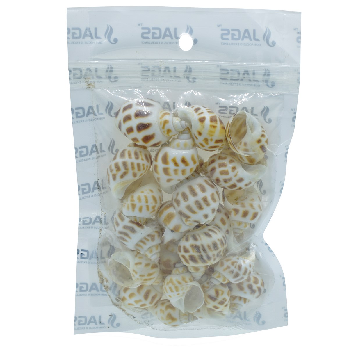 Decorative Seashells For Craft Pack Of 50 Grams | 1.5x2.5x1.2 Cm