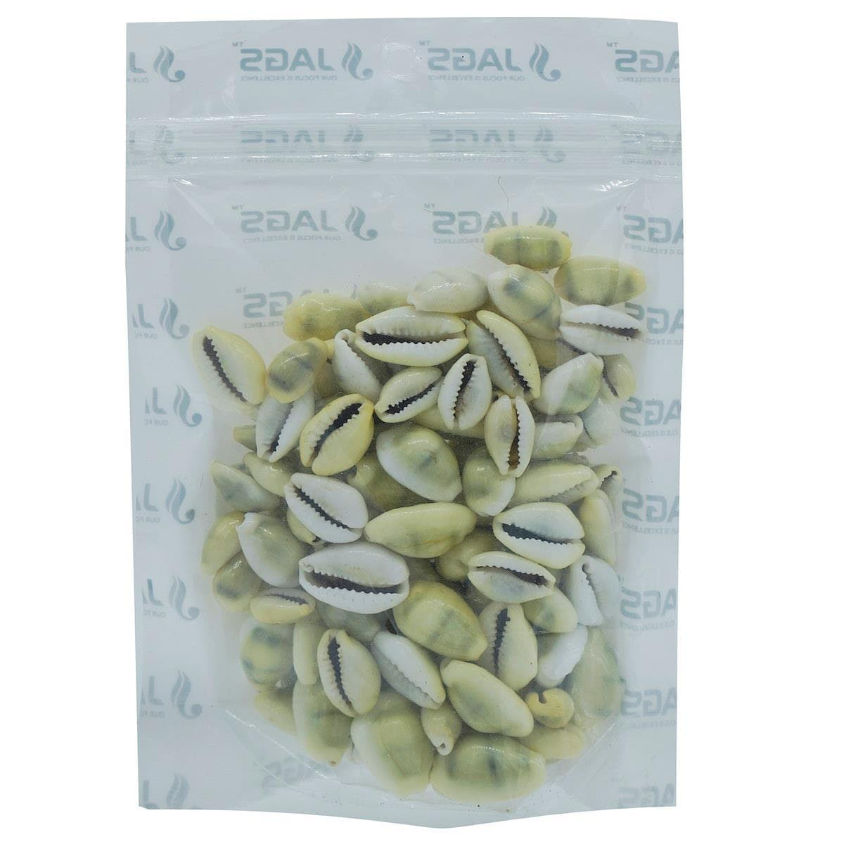 Decorative Seashells For Craft Pack Of 100 Grams | 1x1.8x0.7 Cm