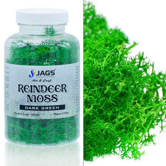 Reindeer Moss | 20 Grams | Dark Green