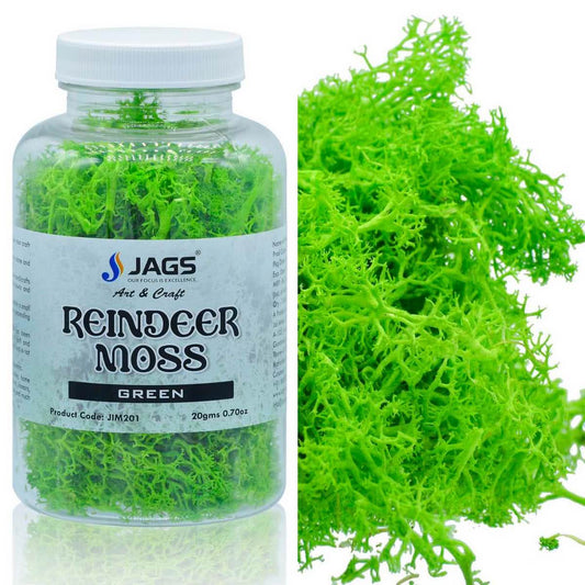 Reindeer Moss | 20 Grams | Green