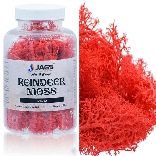 Reindeer Moss | 20 Grams | Red