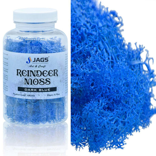 Reindeer Moss | 20 Grams | Dark Blue