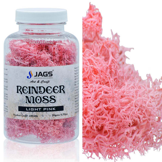 Reindeer Moss | 20 Grams | Light Pink