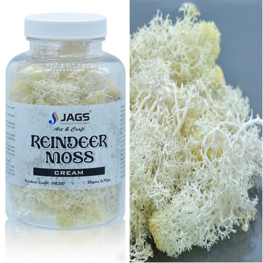 Reindeer Moss | 20 Grams | Cream
