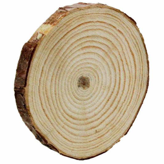Unfinished Natural Wood Slice With Bark 13 Cm X 10 Mm Thick